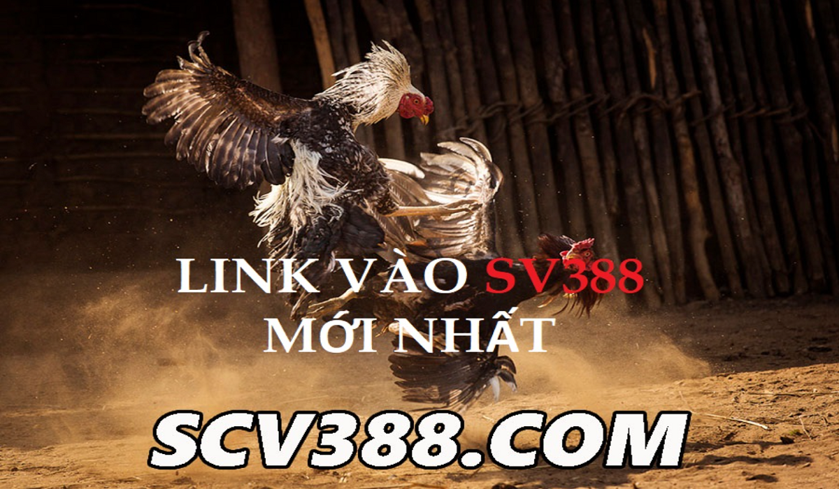 scv388.com Link vào nhà cái SV388