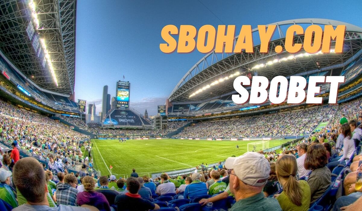 Sbohay.com Link vào Sbobet chính thức